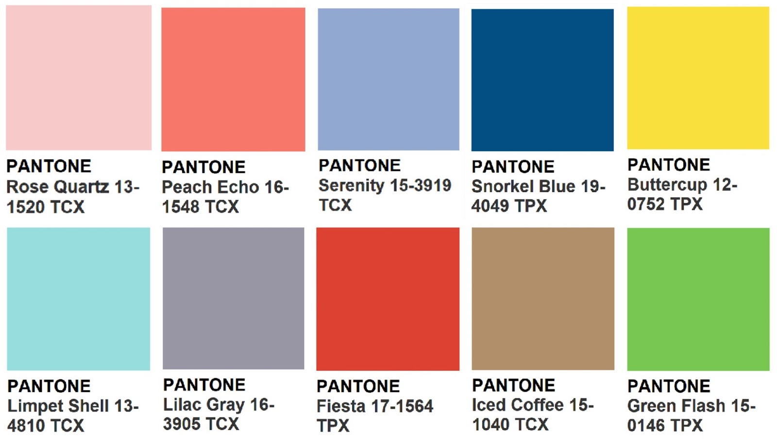 Why does Pantone Exists? • Online Logo Maker's Blog